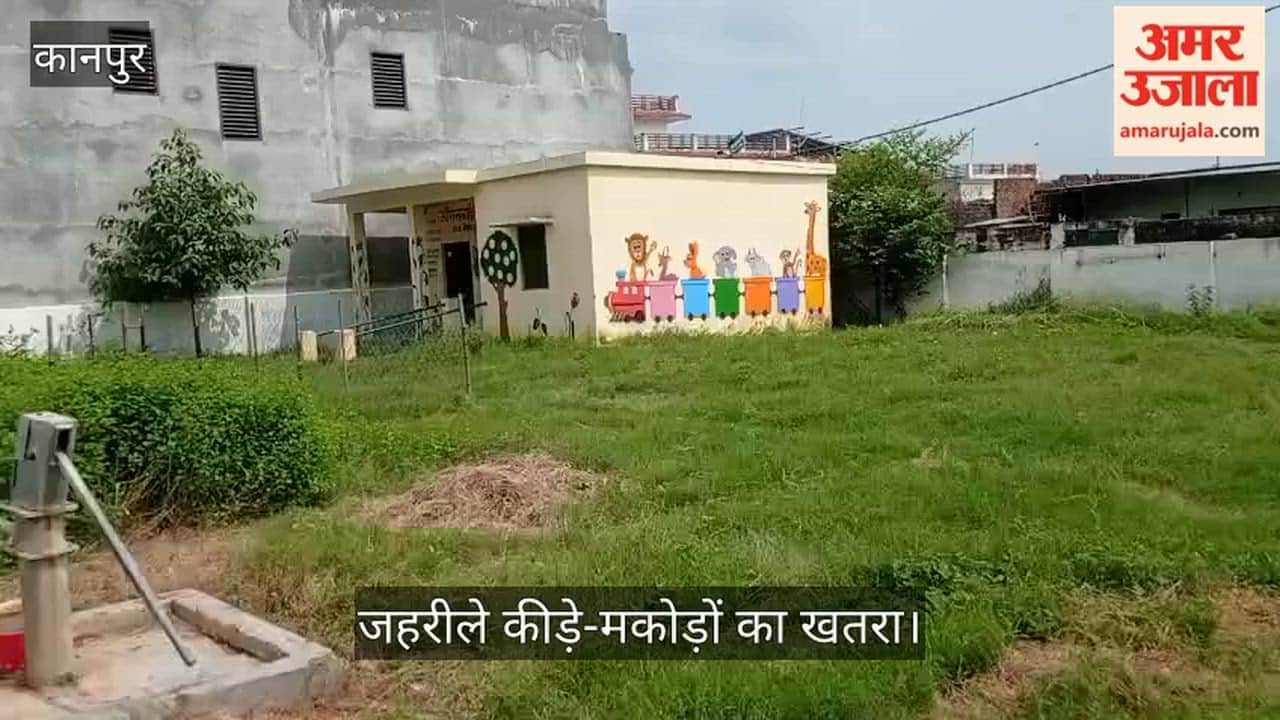 Overgrown Grass Near Baikunthpur Anganwadi Centre Poses Risk of Insects and Venomous Creatures to Children