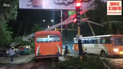 Liptis tree fell on roadways bus full of passengers, major accident averted