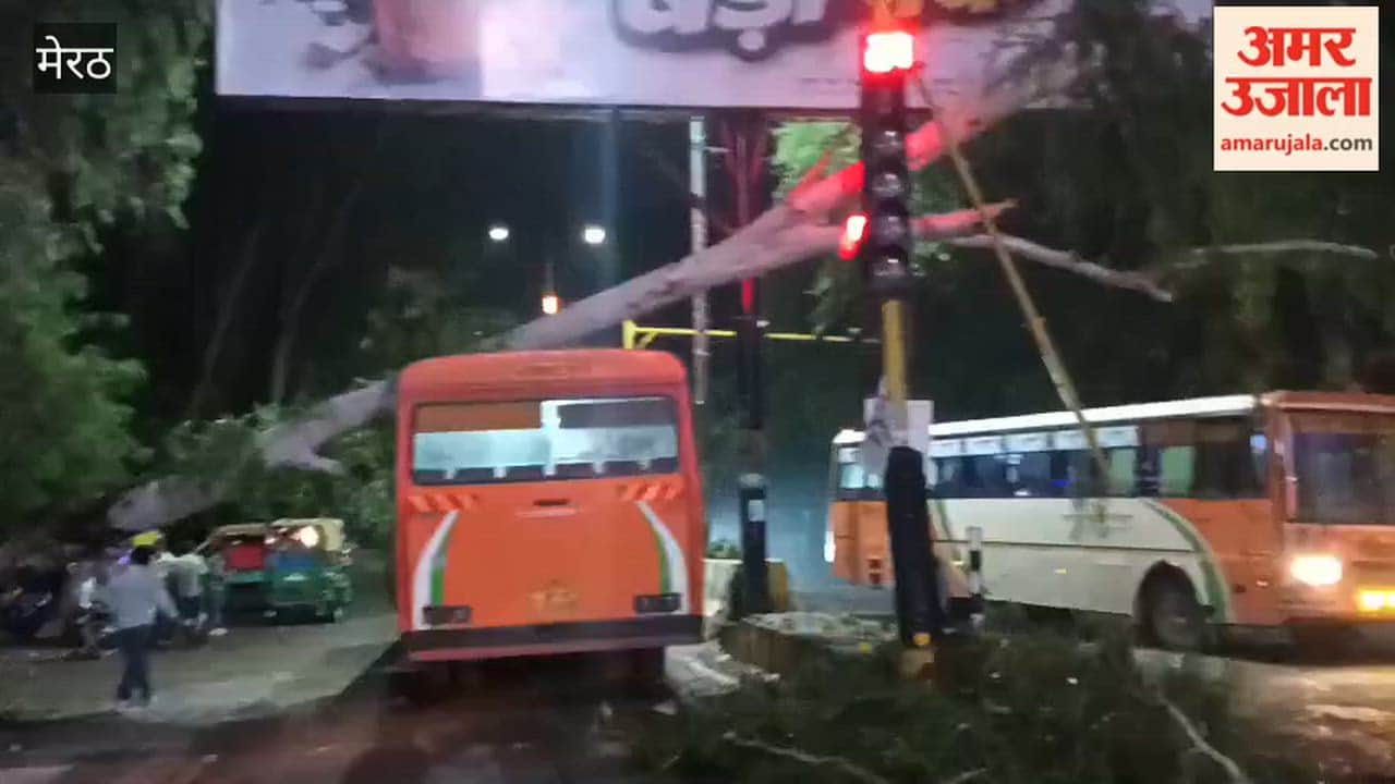 Liptis tree fell on roadways bus full of passengers, major accident averted