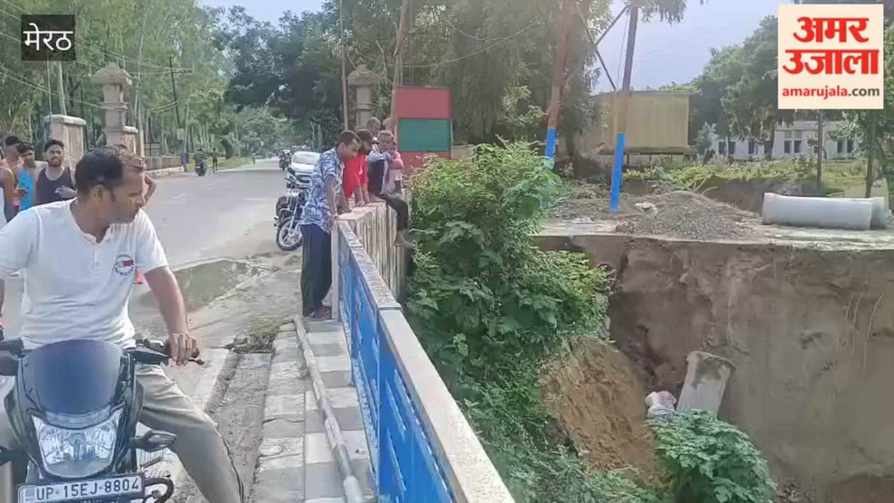 Deforestation has reached the main road, connectivity to many villages is in danger, efforts to save it continue.