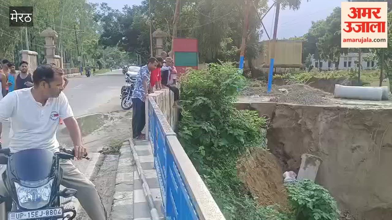 Deforestation has reached the main road, connectivity to many villages is in danger, efforts to save it continue.