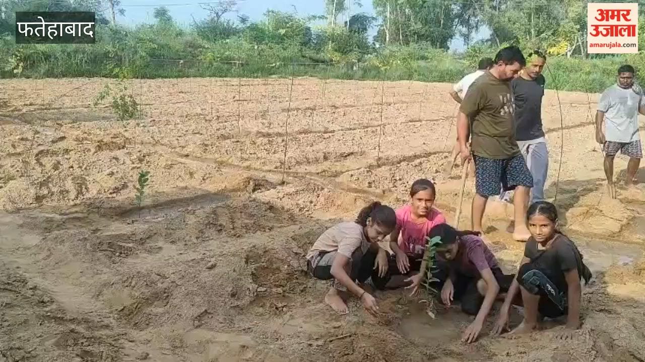 Manav Seva Samiti planted fruit-bearing and shade-providing saplings at the cremation ground in Kulan, Fatehabad