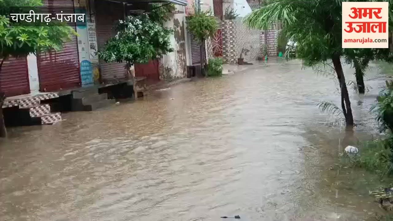 Heavy rain in Moga