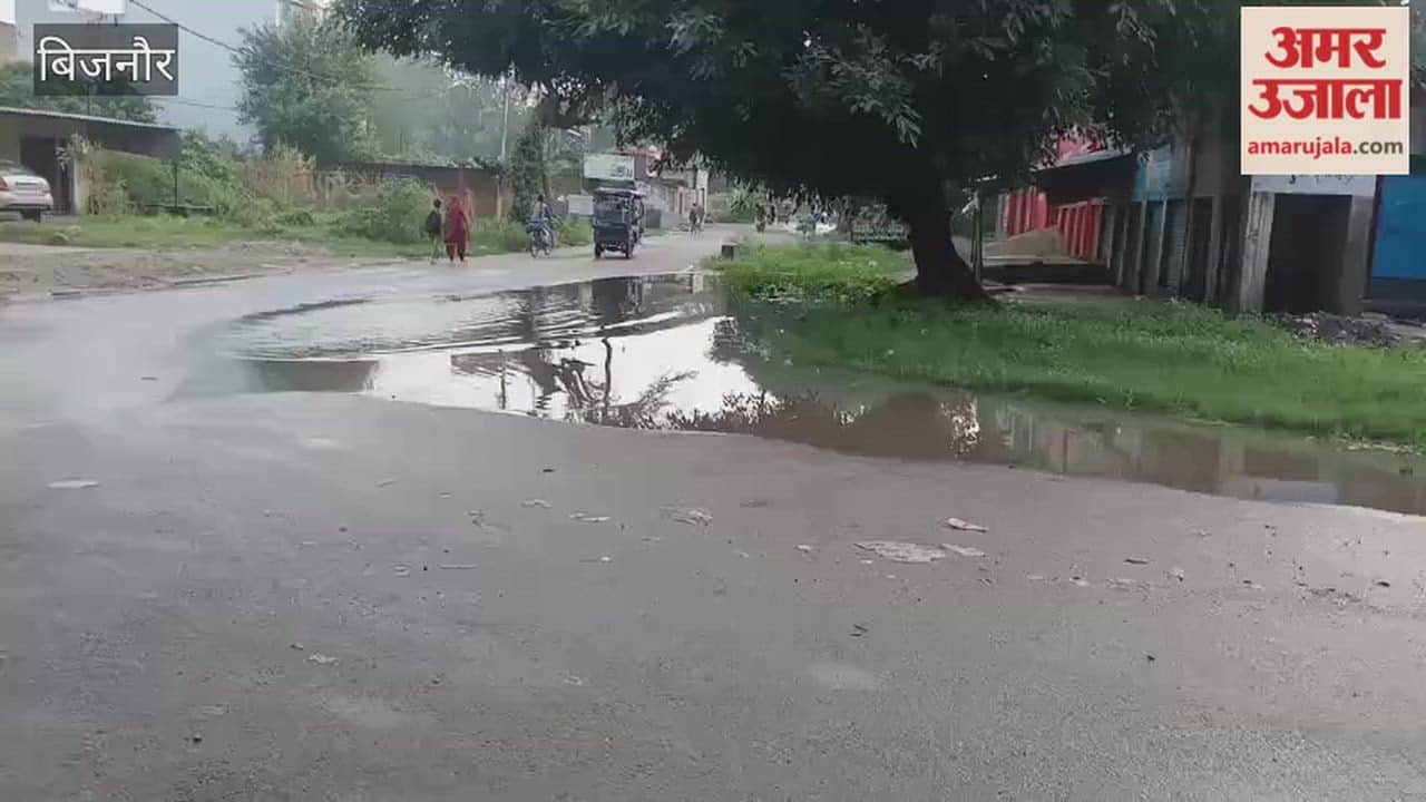 Bijnor: Waterlogging Turns Dhampur SDM Tiraha Into a Pond, Commuters Face Trouble