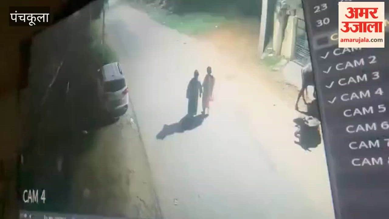 earring snatched from two women out for a walk in Panchkula.