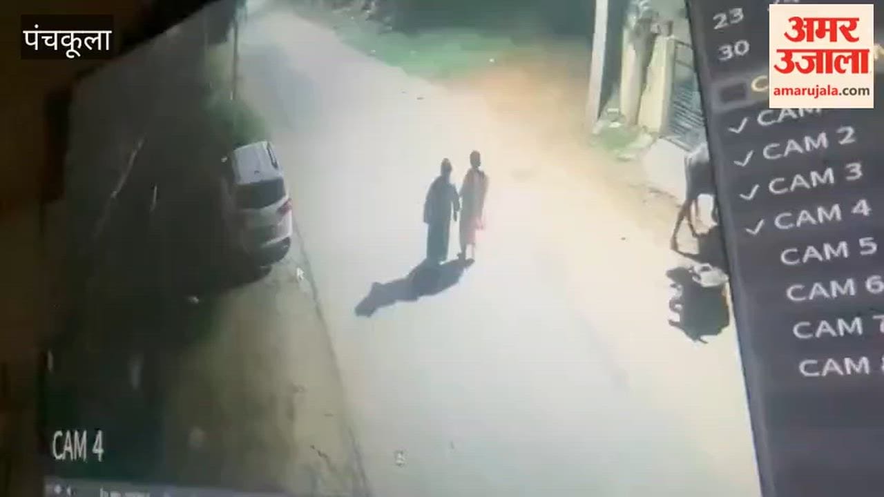 earring snatched from two women out for a walk in Panchkula.