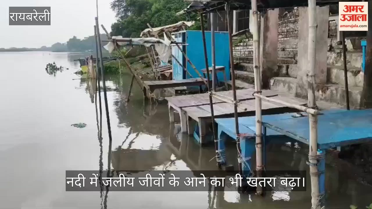 VIDEO: 24 घंटे में डेढ़ फीट बढ़ा पानी, नदी में जलीय जीवों के आने का भी खतरा बढ़ा