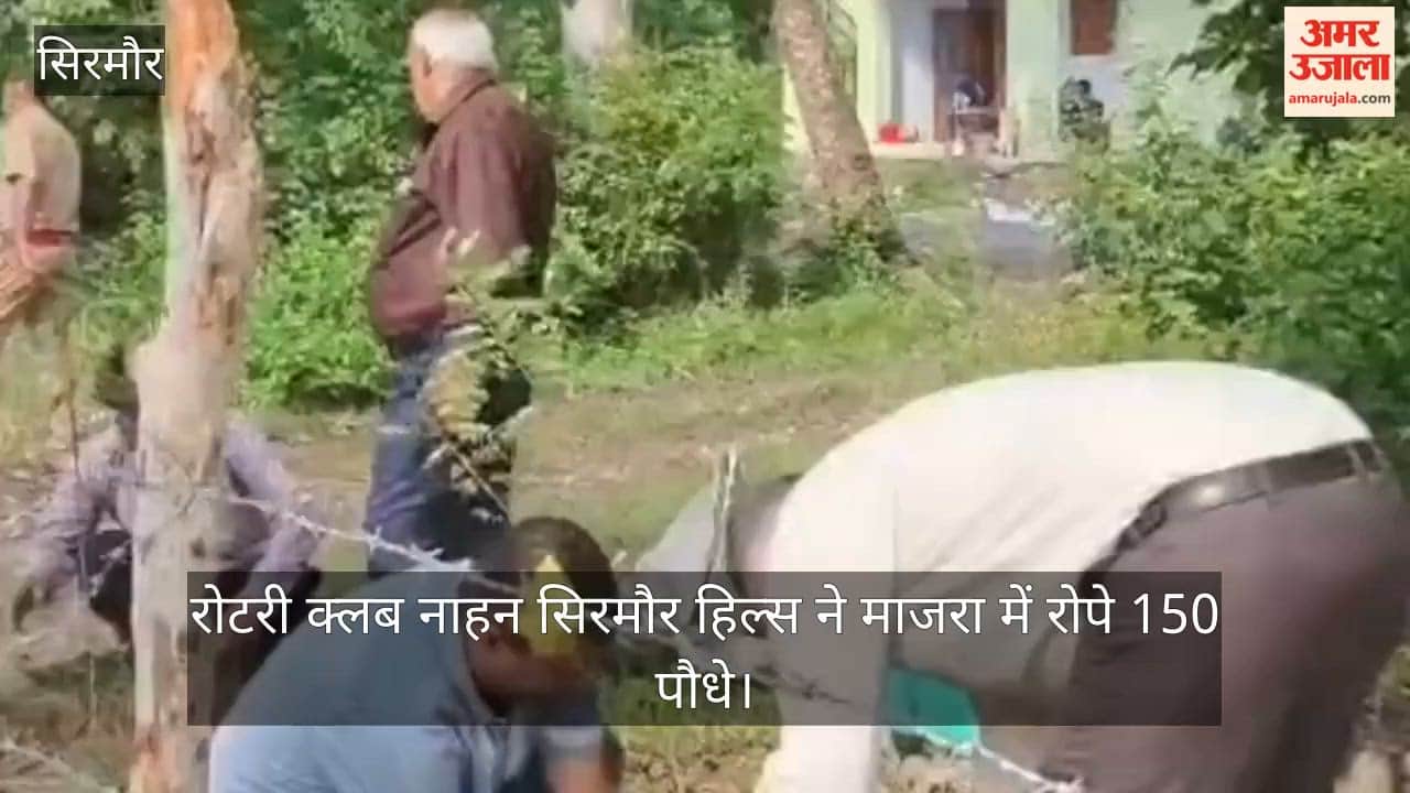 Video: Rotary Club Nahan Sirmaur Hills planted 150 saplings in Majra