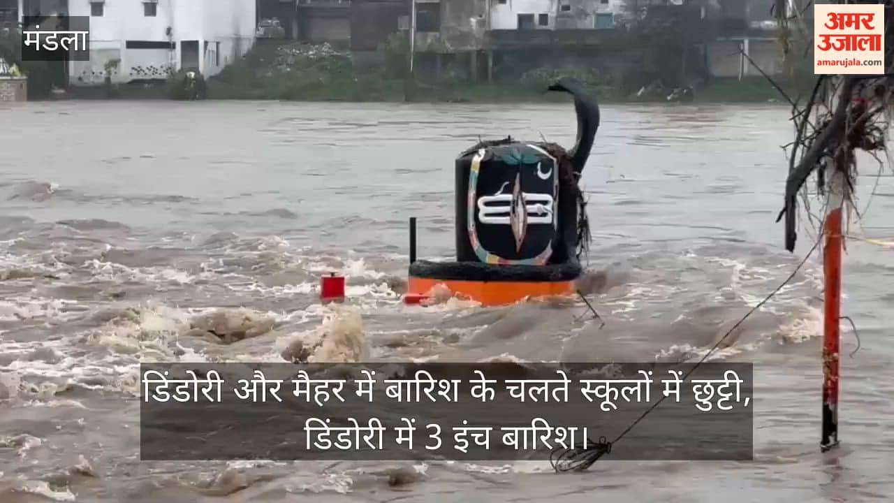 Schools closed in Dindori and Maihar due to rain, 3 inches of rain in Dindori