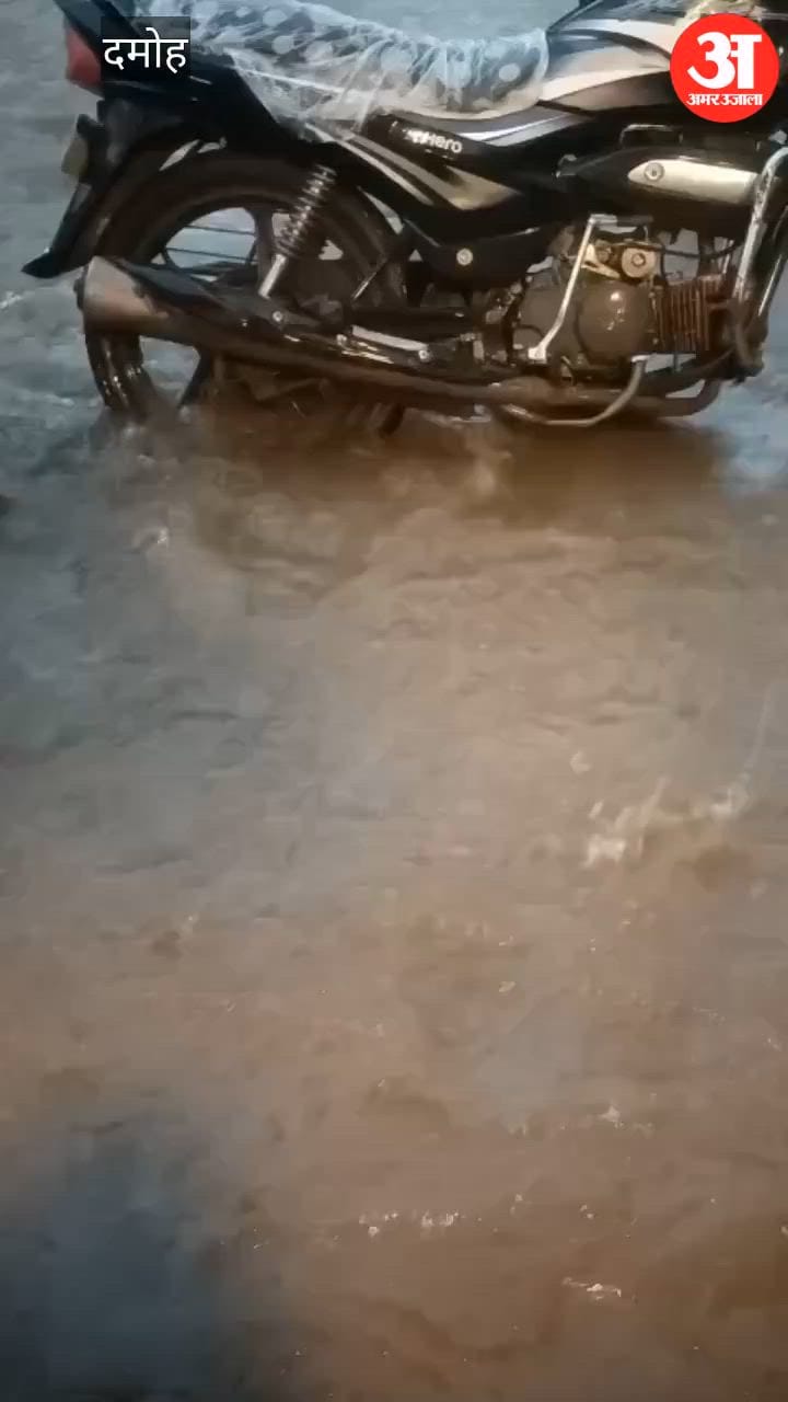 MP Weather News Downpour in Tendukheda Inundates Vidya Nagar Colony and Key Roads