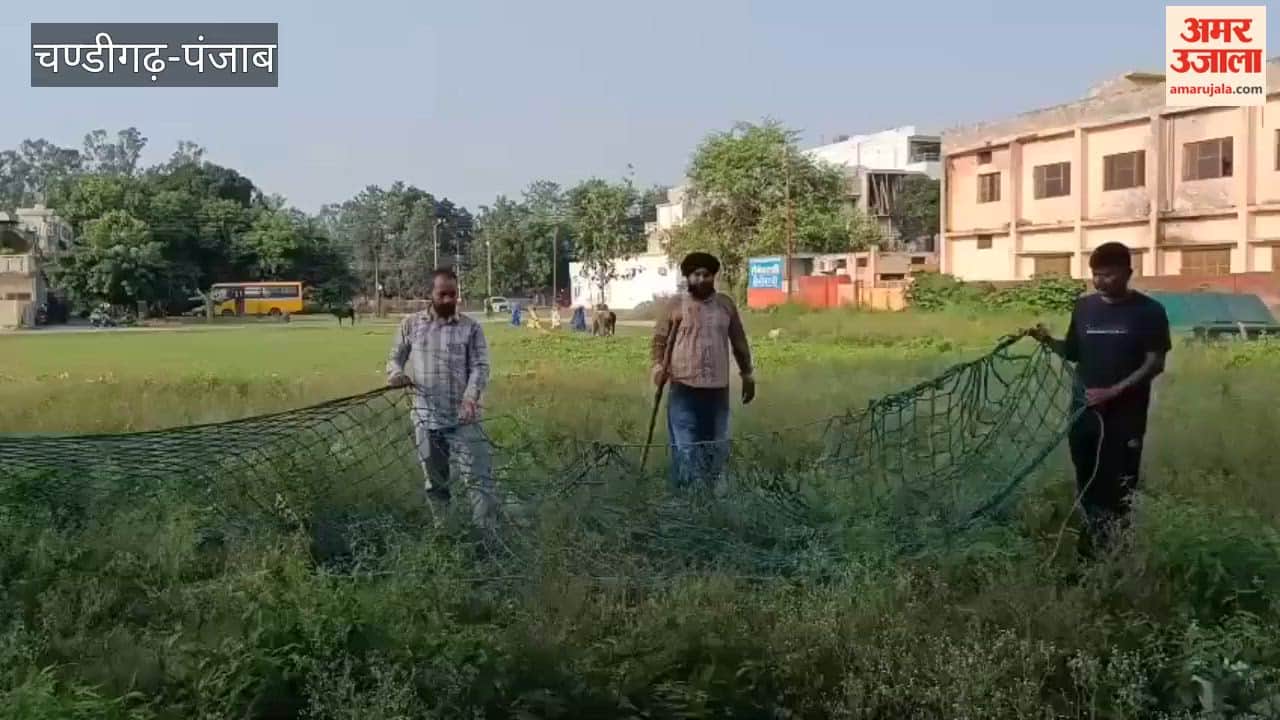 Panic in Talwara Township following leopard sighting