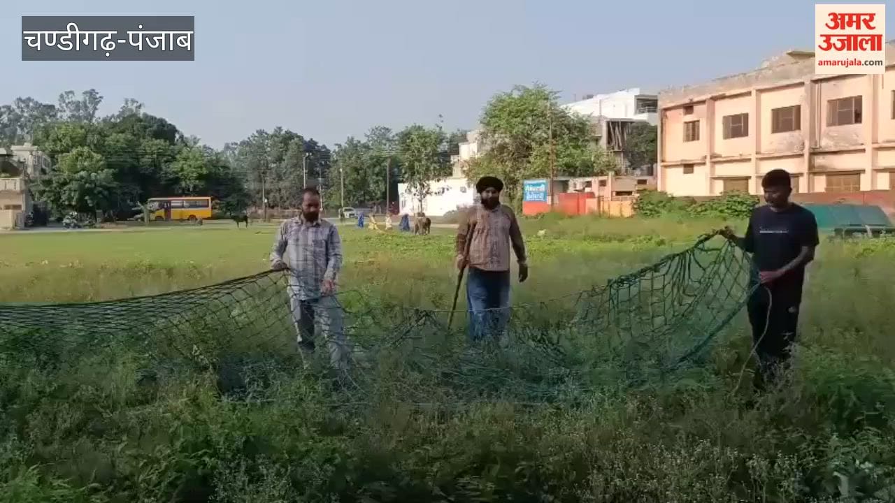Panic in Talwara Township following leopard sighting