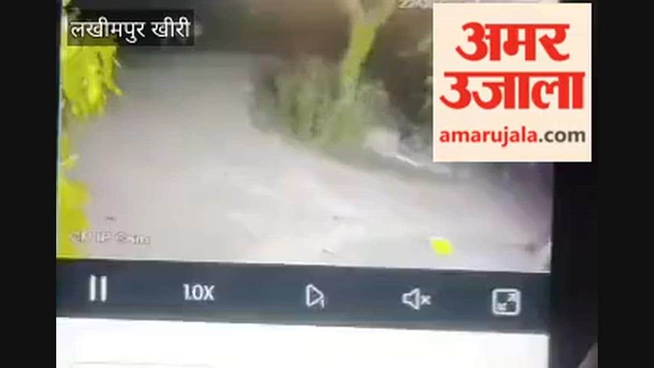 man dies after bike collides with a bull in Lakhimpur Kheri