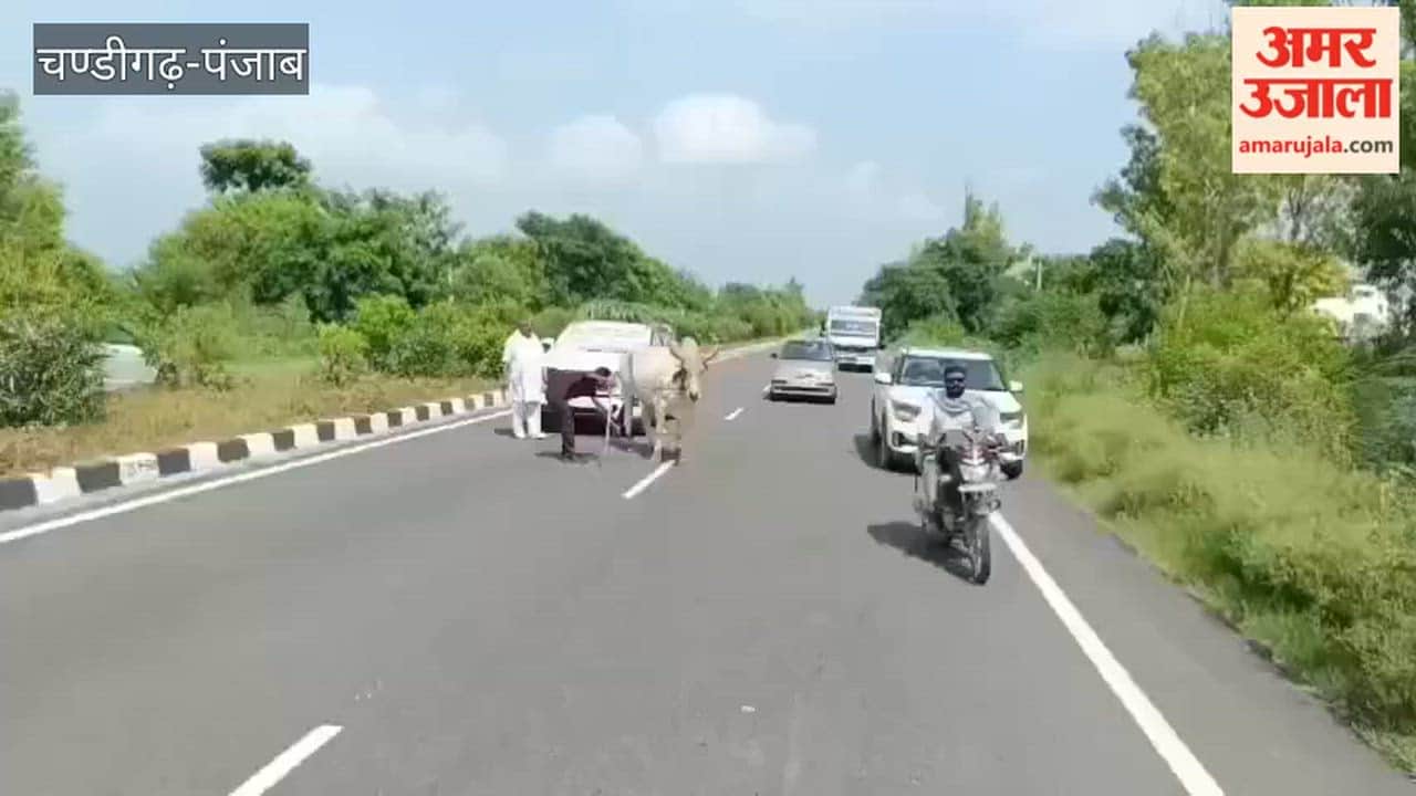 Customer's unique protest over failure to issue RC for new Innova