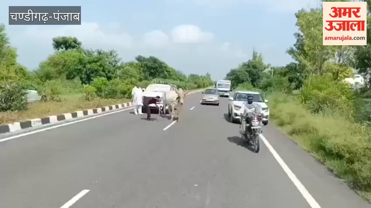 Customer's unique protest over failure to issue RC for new Innova