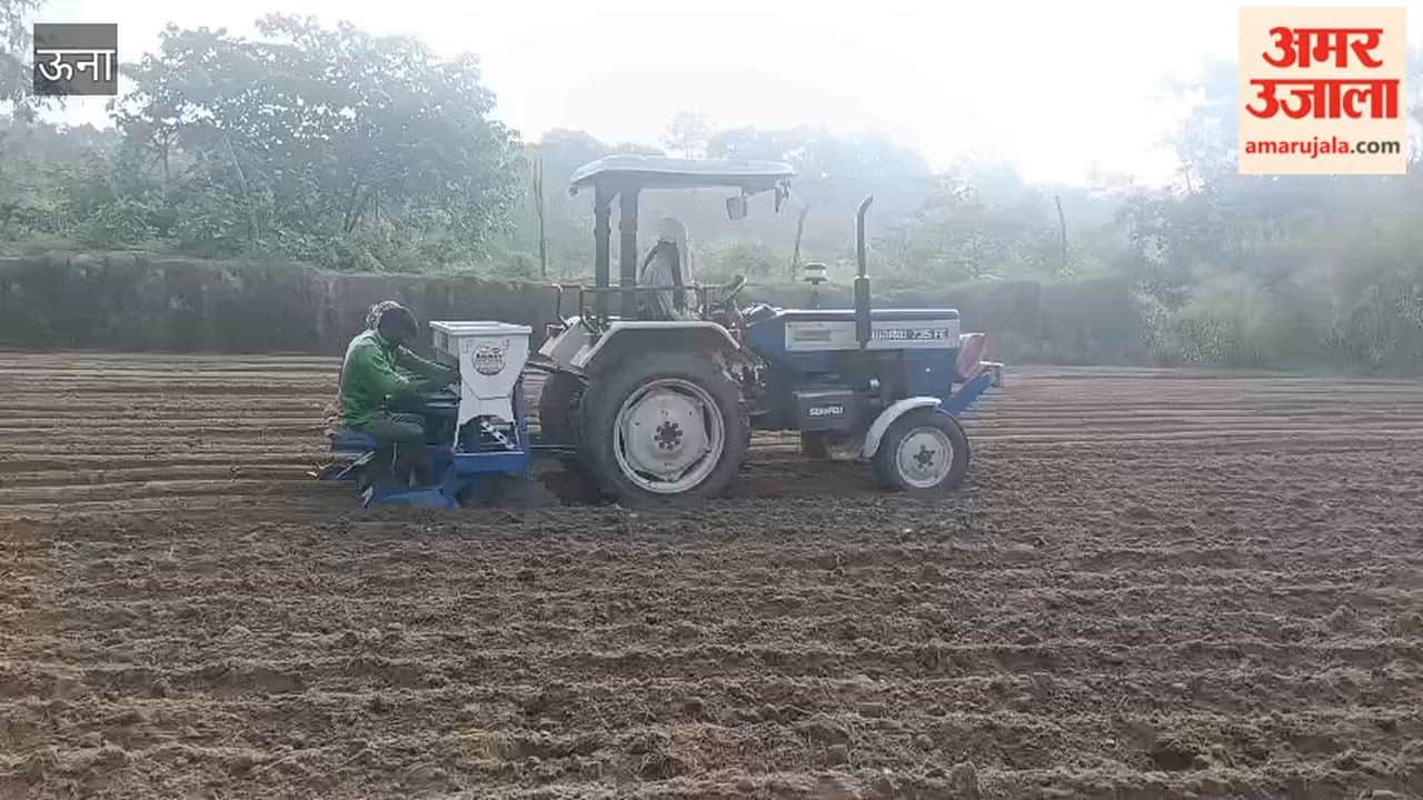 una jol potato sowing farmers weather clear agriculture news