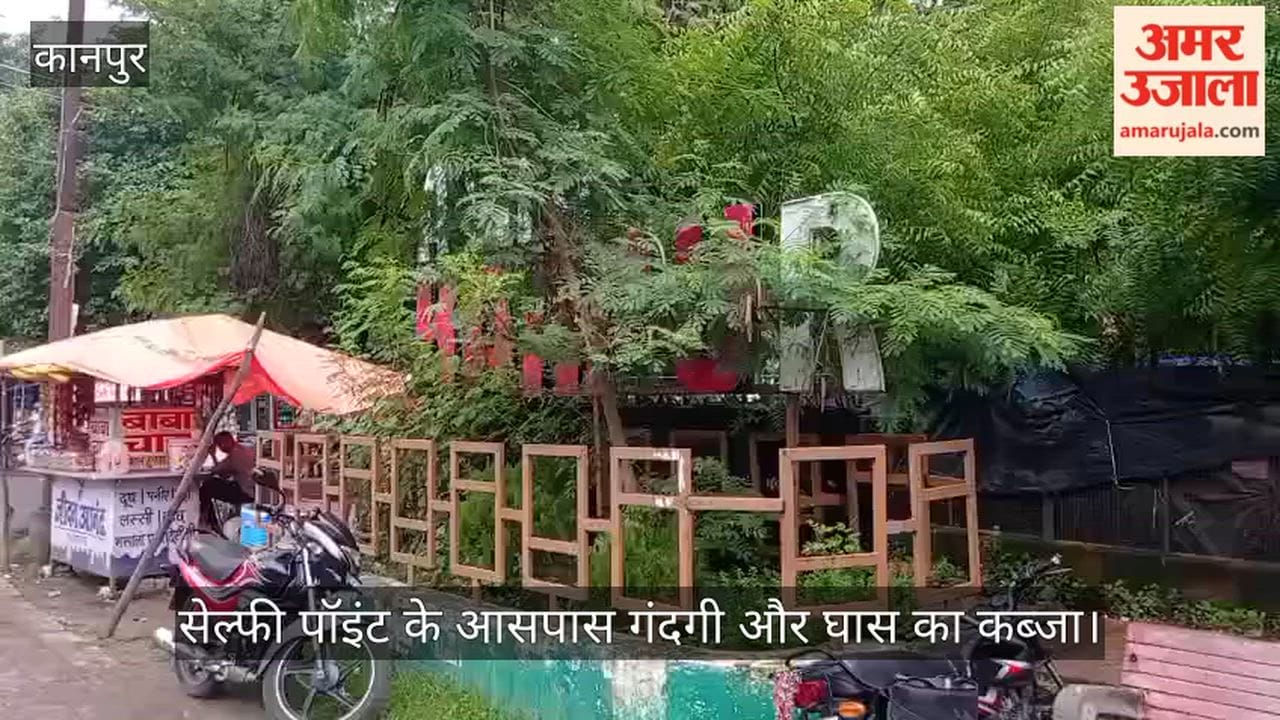 Wild Grass Engulfs Kanpur Selfie Point, No Cleaning for Six Months