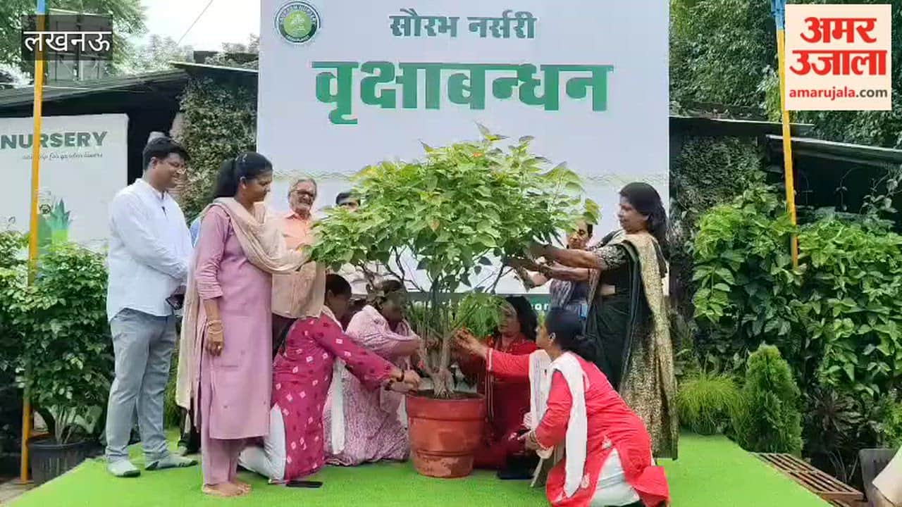 लखनऊ में इंदिरा नगर के विकास भवन में सौरभ नर्सरी की ओर से लगाए गए पौधे