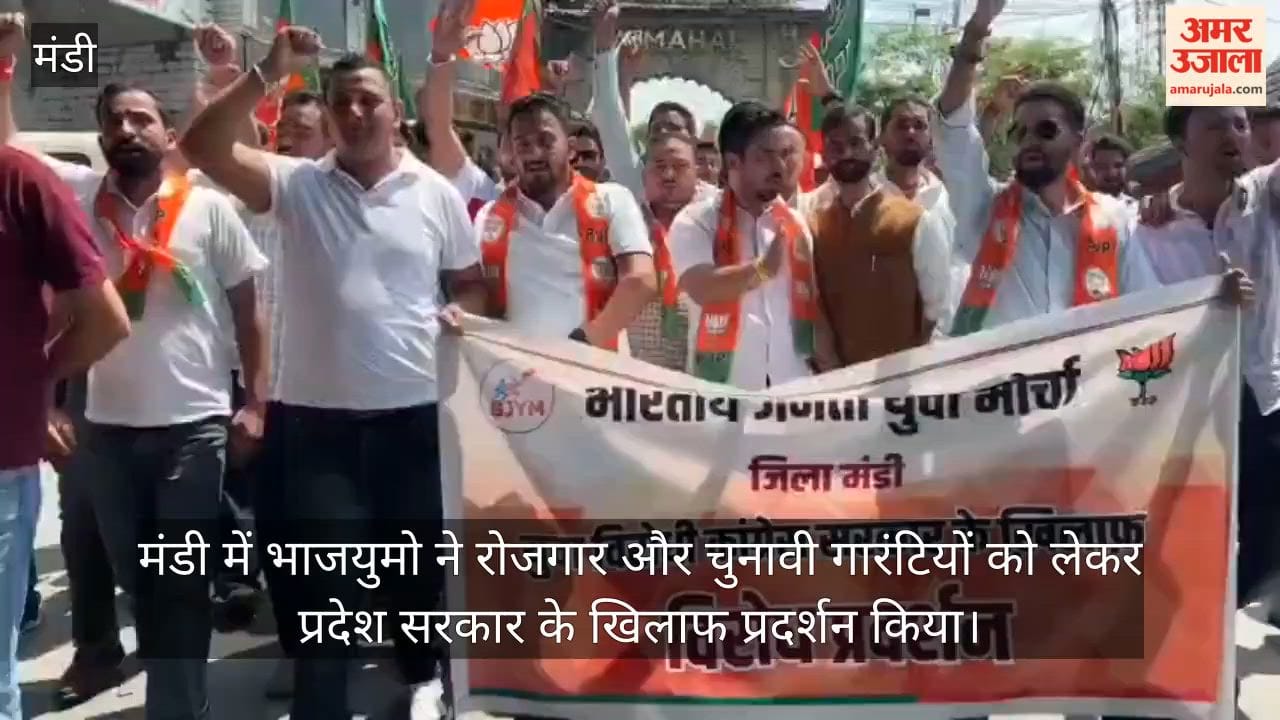 mandi bjym protest cm effigy burnt sukhu government employment