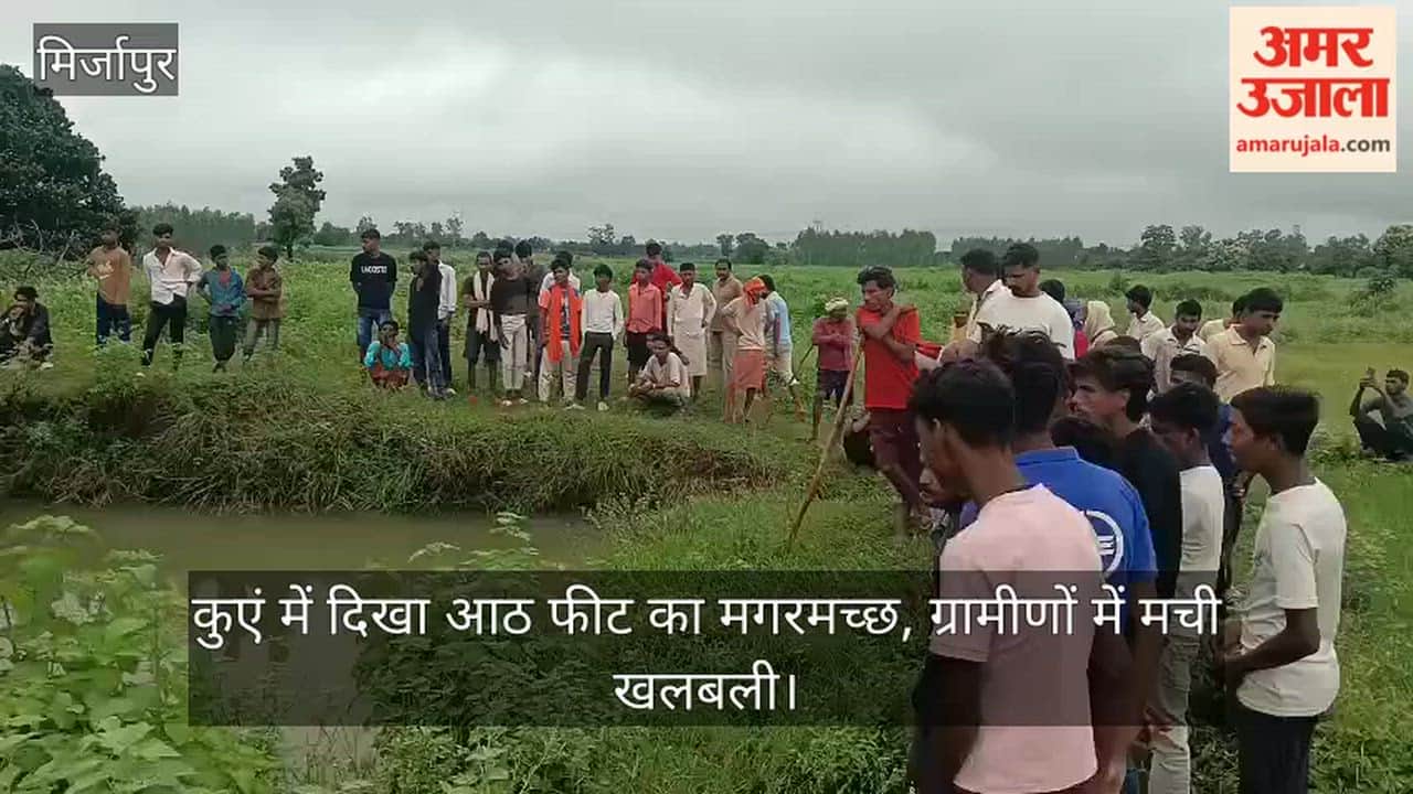 Eight-foot-long crocodile spotted in well; panic among villagers
