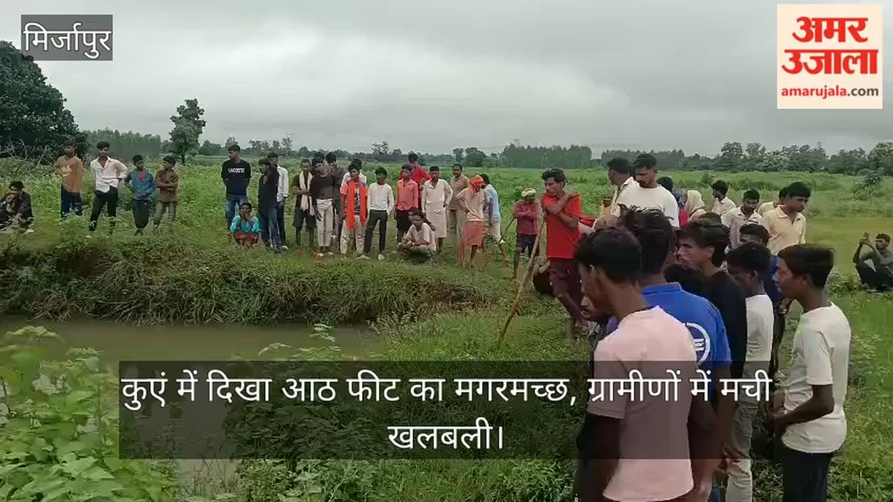Eight-foot-long crocodile spotted in well; panic among villagers