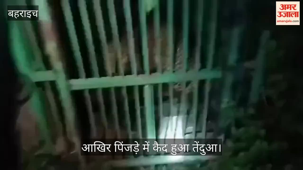 Video: आखिर पिंजड़े में कैद हुआ तेंदुआ, कई दिनों से दहशत में जी रहे ग्रामीणों ने ली राहत की सांस