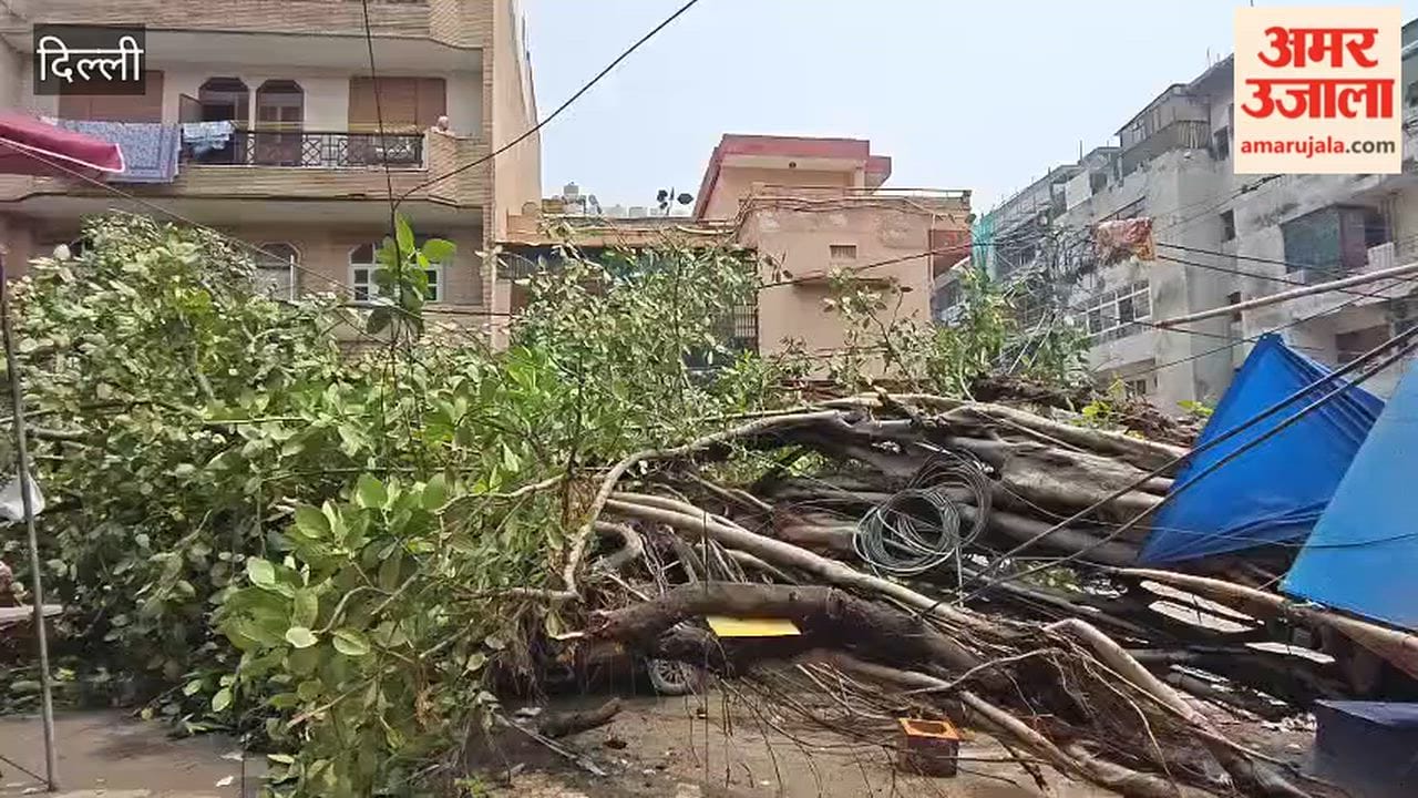 massive tree fell in Patel Nagar area of Delhi