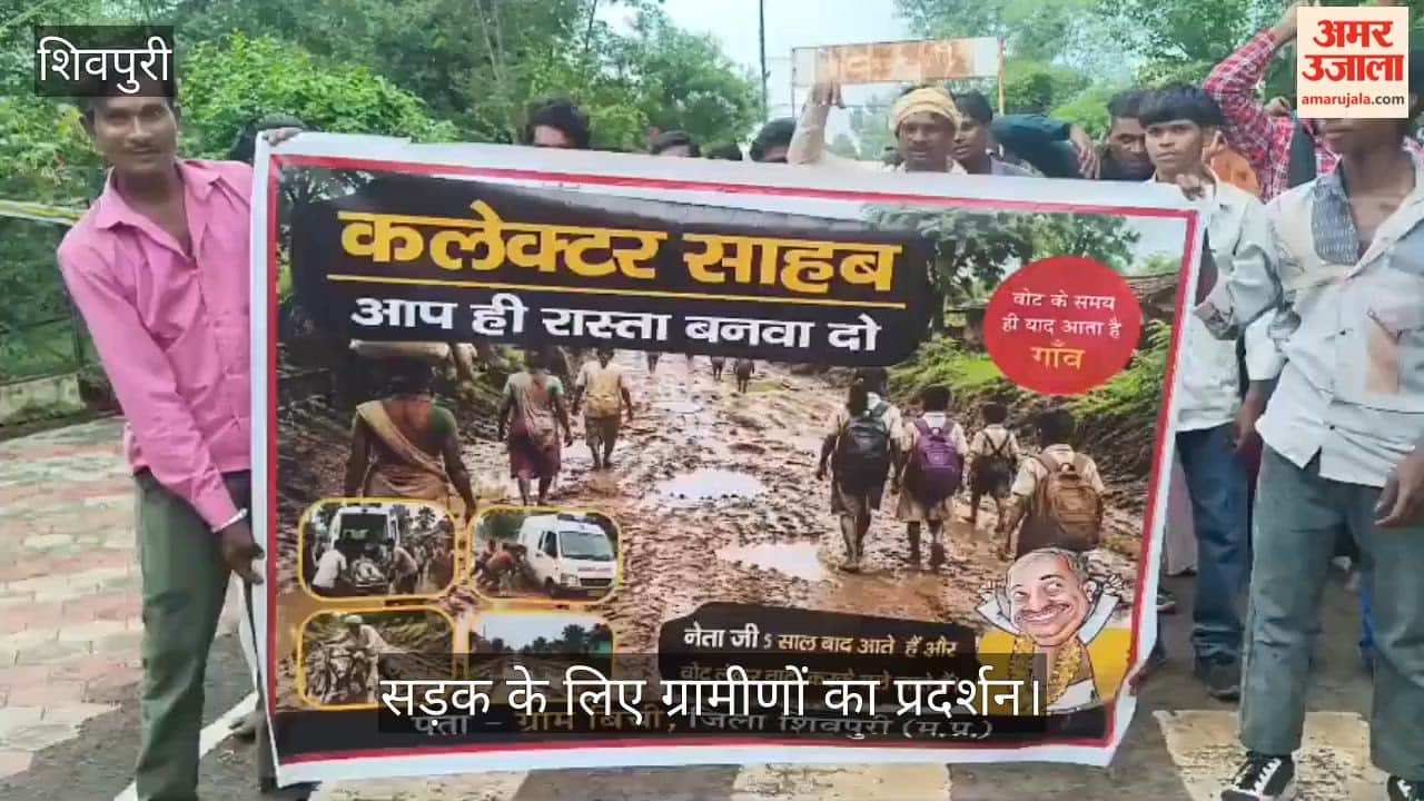 "Collector Sir, please get the road built": Floodwaters surround the school; buffaloes seen swimming.