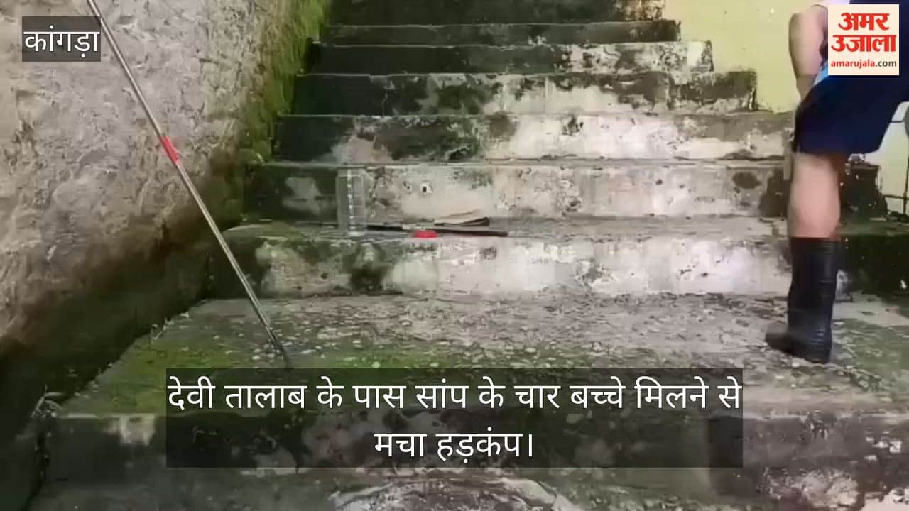 Jwalamukhi: Panic ensues after four snakelets are found near Devi Talab.