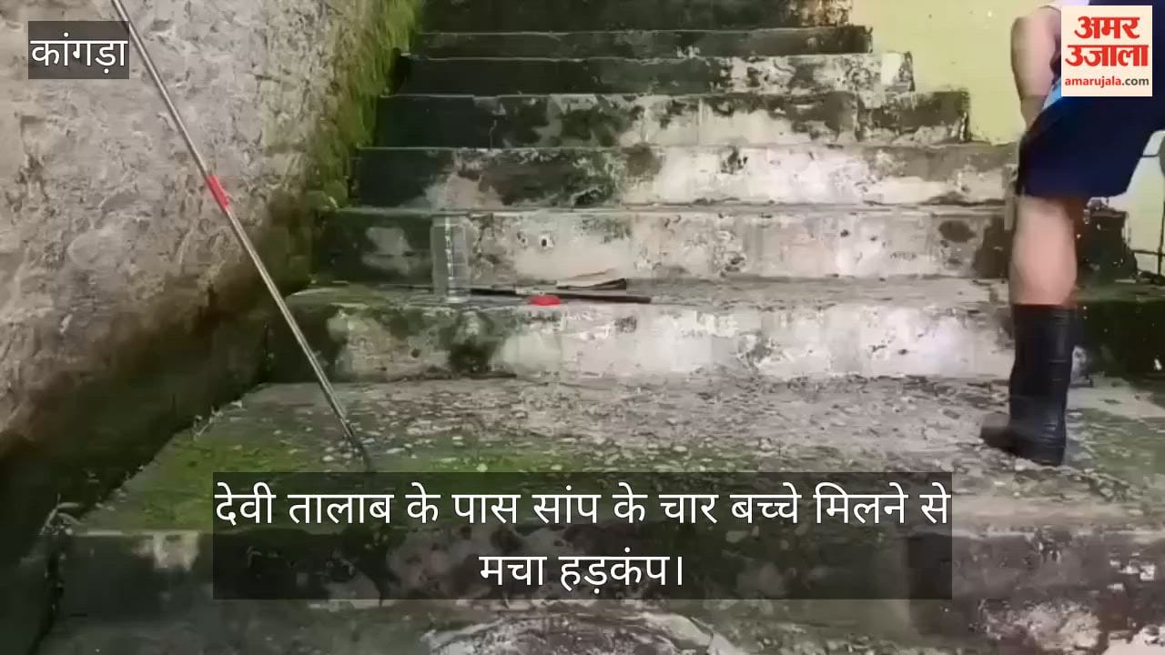 Jwalamukhi: Panic ensues after four snakelets are found near Devi Talab.
