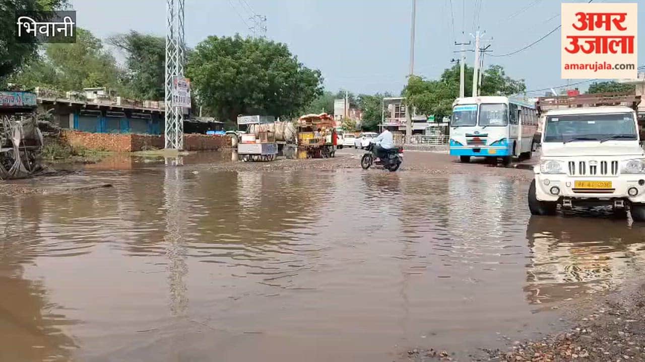Rain brings smiles to farmers' faces in Bhiwani, while waterlogging in various parts of Loharu causes increased distress.