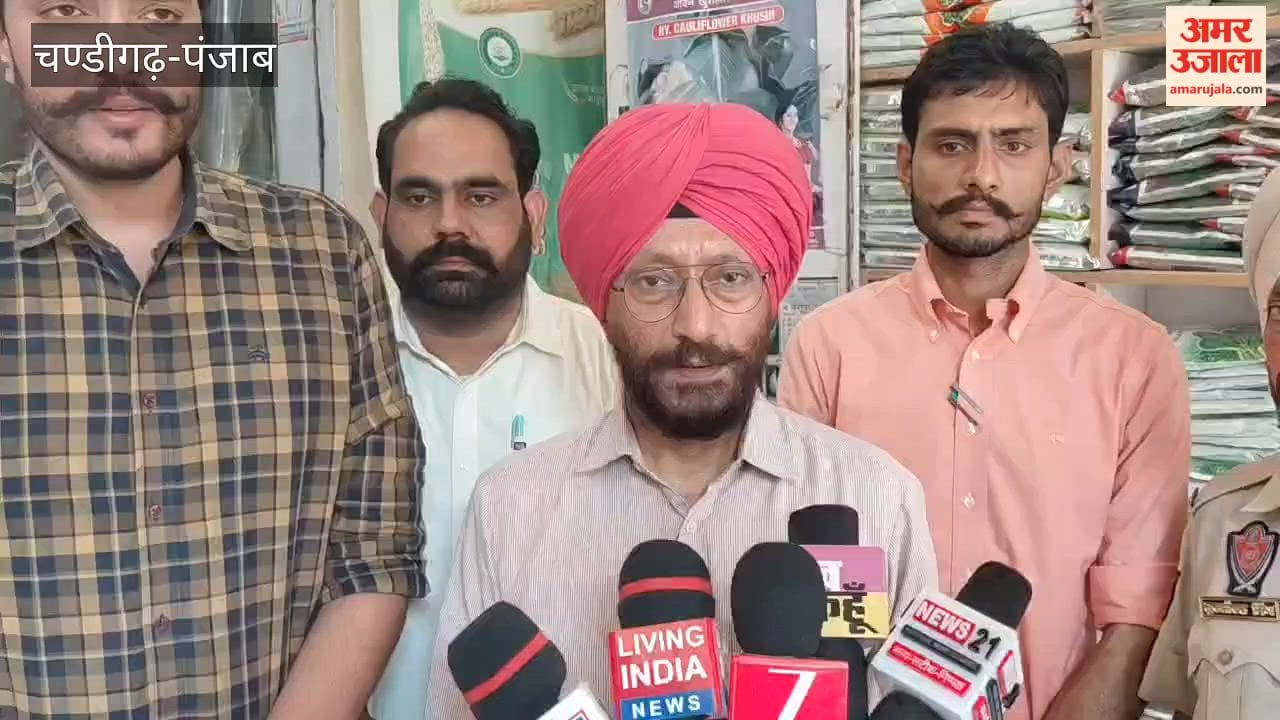 Allegations of supplying fake cauliflower seeds to a farmer in Kotkapura, Agriculture Department conducts raid