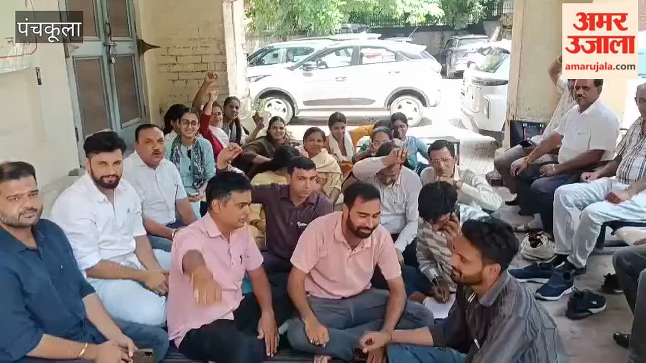 Patwaris and Kanungos protest in Panchkula against the flaws of the new portal.