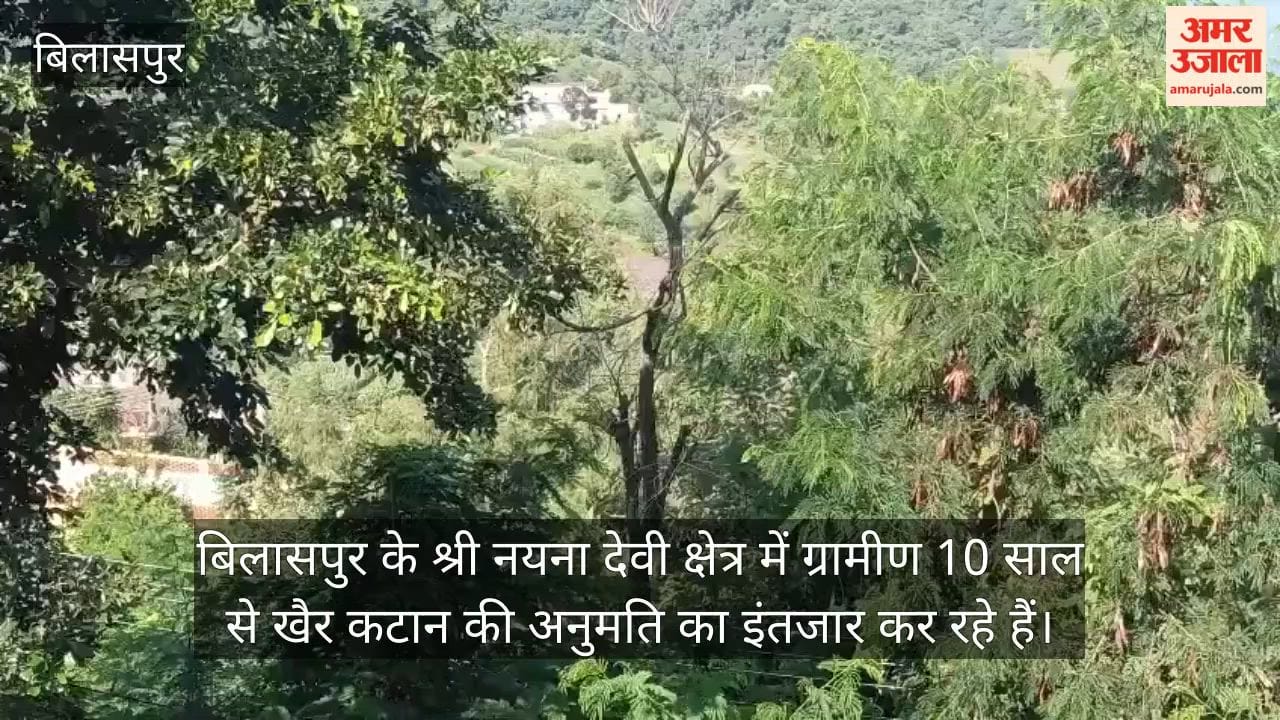 kher cutting permission bilaspur naina devi himachal