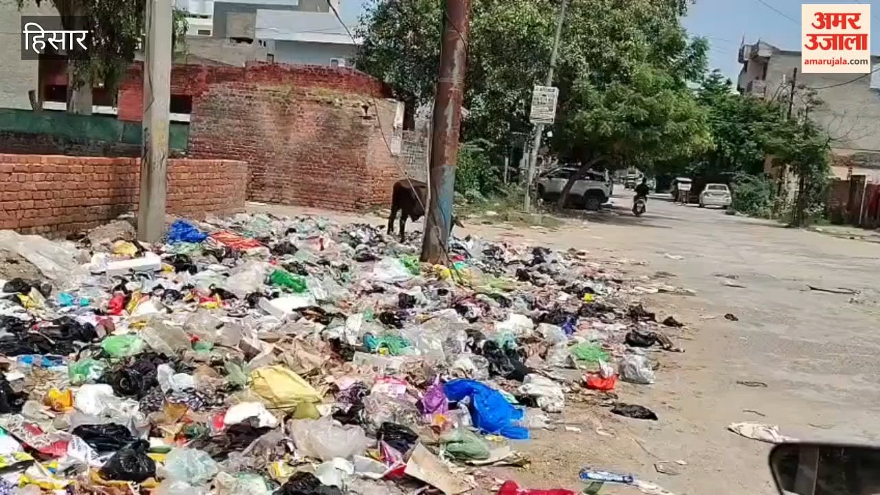 Garbage is scattered everywhere in Hansi due to the sanitation workers' strike; piles of trash have accumulated even near MLA Vinod Bhayana's residence.