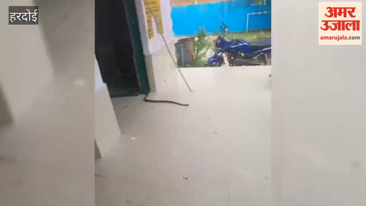 Hardoi: Venomous snake found in Harpalpur's merged school; panic among teachers and students