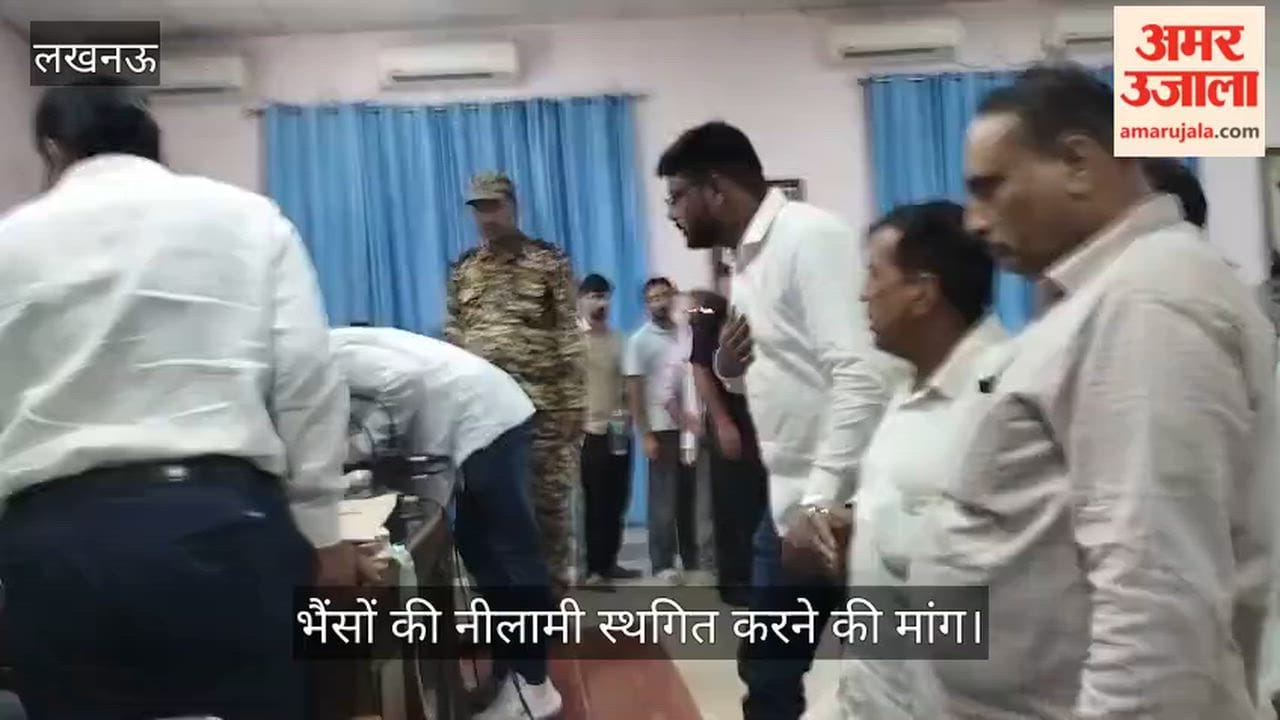 Video: भैंसों की नीलामी स्थगित करने की मांग, सपा विधायक और पार्षदों ने नगर निगम अधिकारियों से की मुलाकात