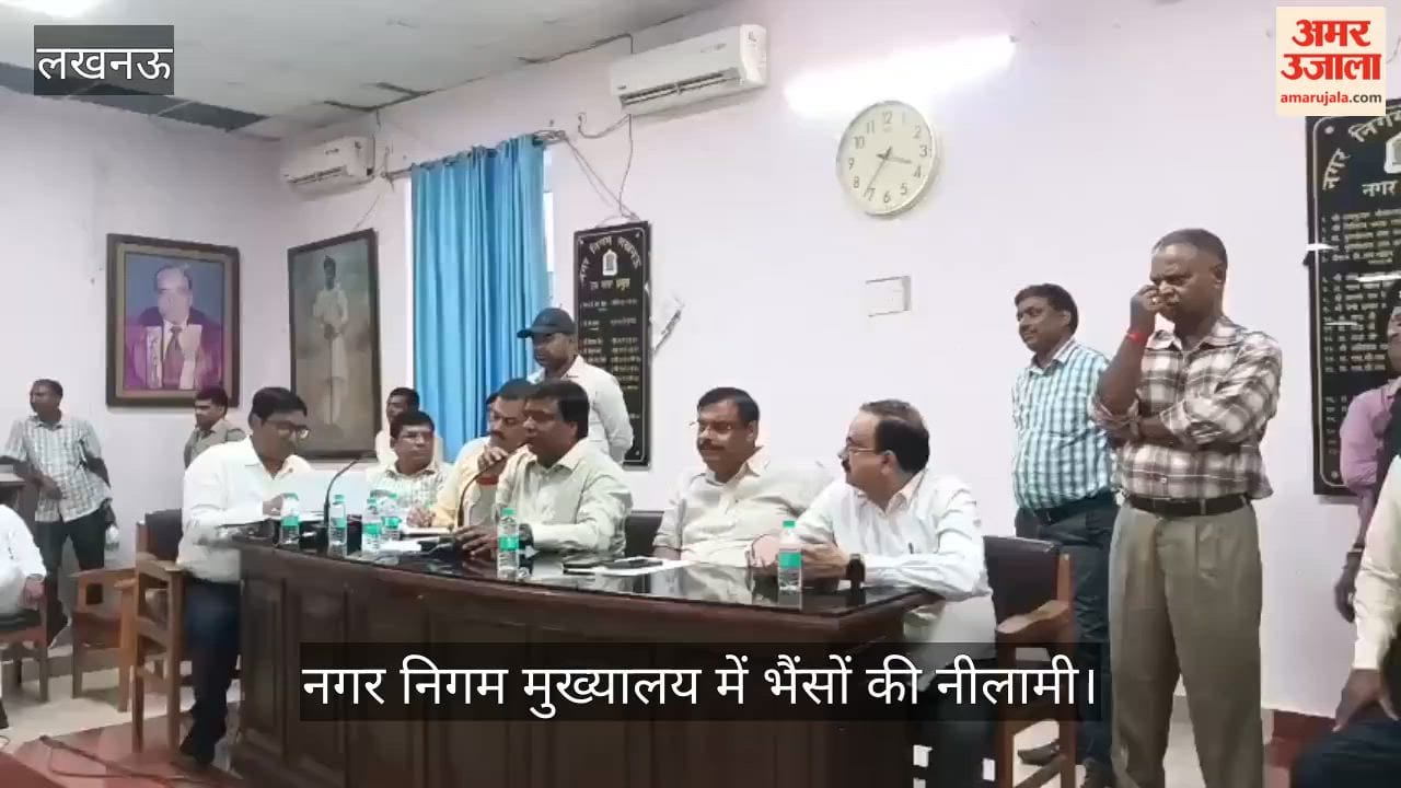 Video: नगर निगम मुख्यालय में भैंसों की नीलामी, 5.51 लाख रुपये तक पहुंची बोली