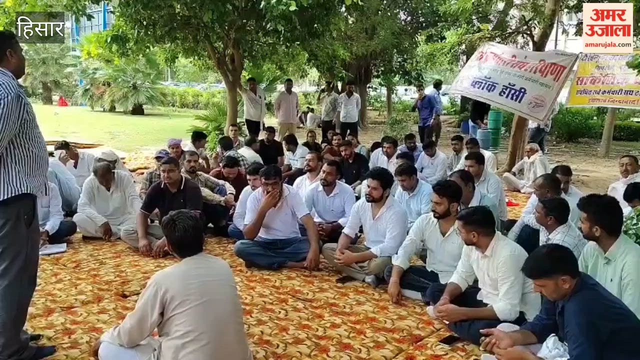 Patwaris and Kanungos on indefinite strike in Hansi; several tasks, including property registration and mutation, stalled.