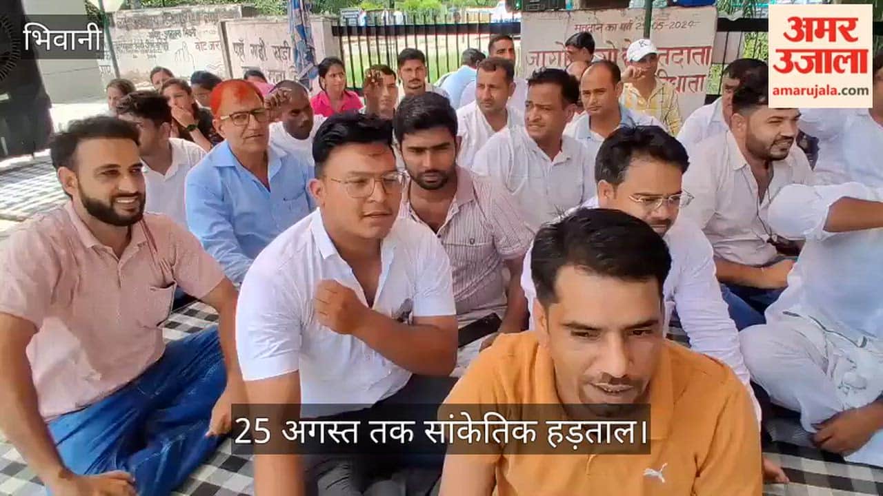 Patwaris and Kanungos went on strike in opposition to the new software and DCS, raising slogans vociferously.