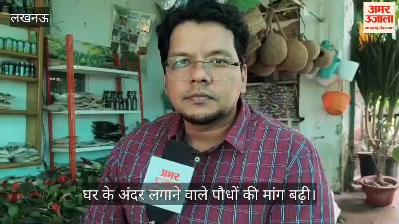 VIDEO: घर के अंदर लगाने वाले पौधों की मांग बढ़ी, ऐसे पौधे पसंद कर रहे लोग