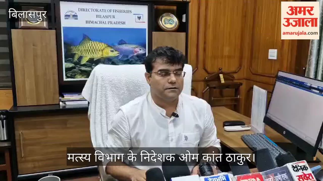 Bilaspur: Over 110 metric tonnes of fish caught in reservoirs within a week of the ban being lifted.