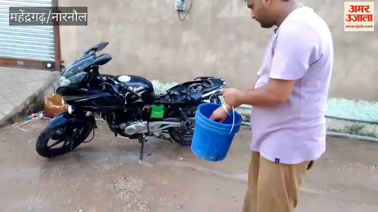 Snake found in bike; extracted after a six-hour struggle.