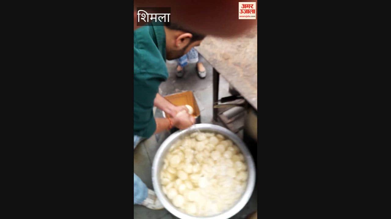 shimla baluganj food safety action 2 quintal sweets destroyed cockroach