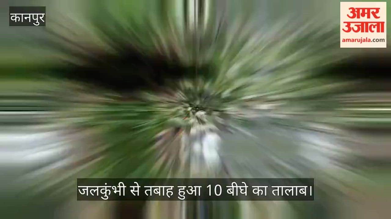 Historic pond in Kanpurs Purvamir village in a state of neglect