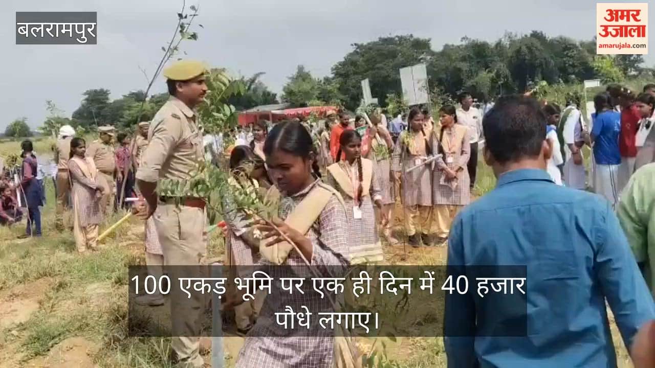 VIDEO: एक दिन में 40 हजार पौधे, विसुही नदी किनारे ग्वालियर ग्रंट में तैयार हुआ हरित क्षेत्र
