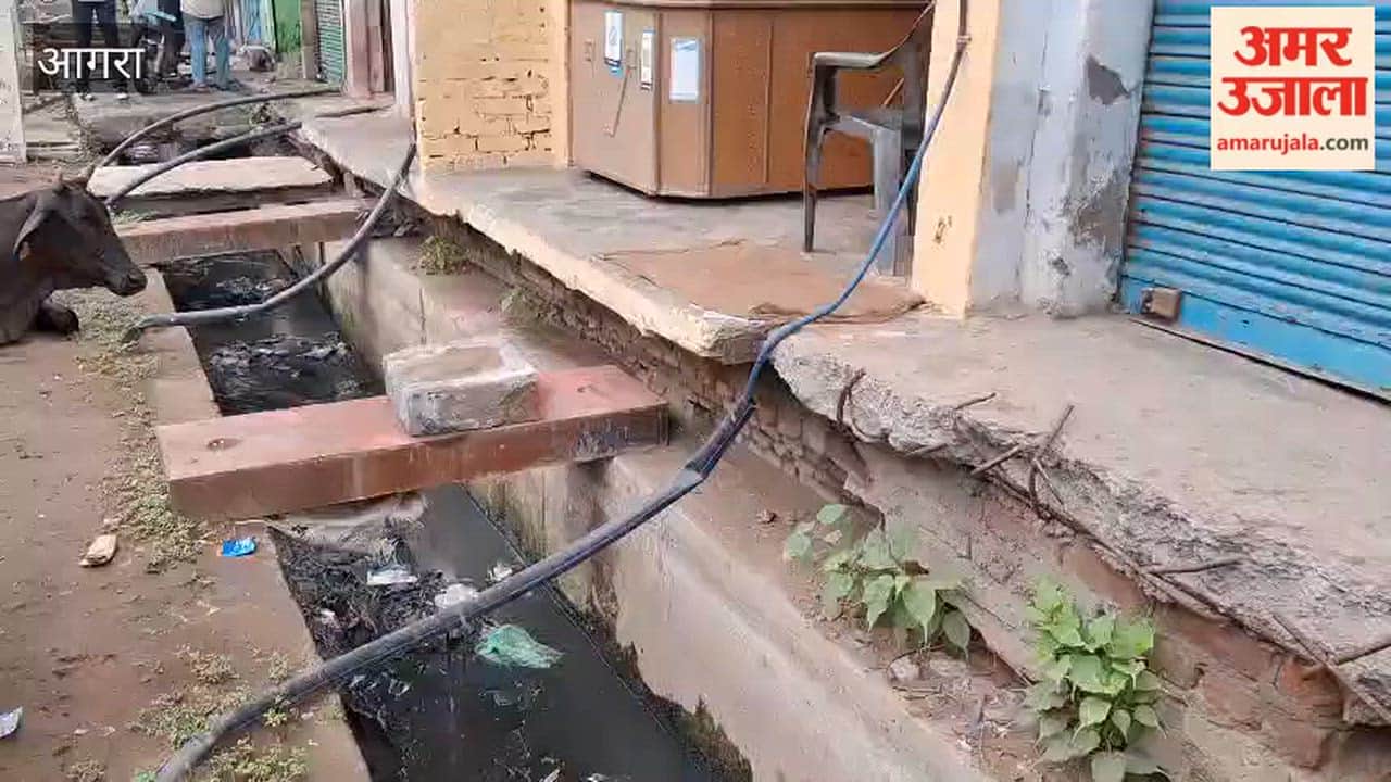 79 Year Old Woman Dies After Falling Into Open Drain In Agra Freeganj