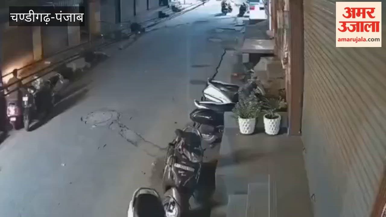 Activa stolen from behind Sanatan Dharma Pathshala in Moga; thief caught on CCTV.