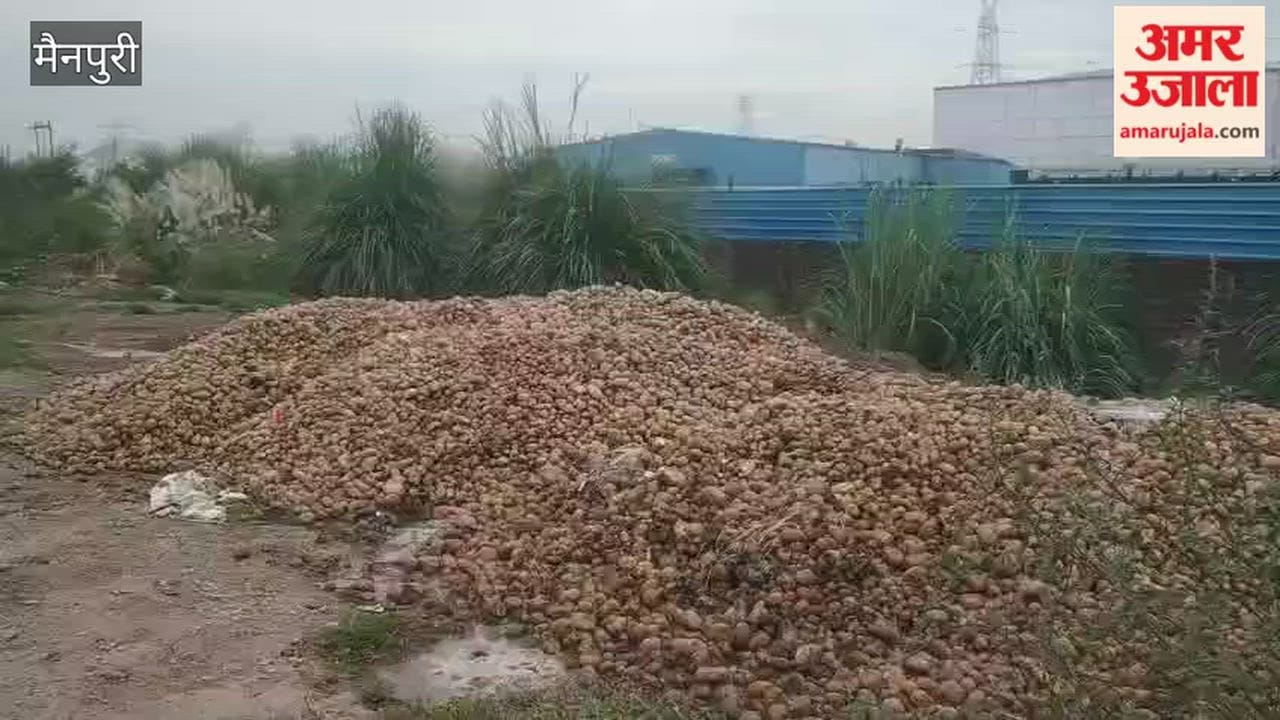 Rotten Potatoes Dumped Along Road Cause Foul Smell, Trouble for Passersby and Students