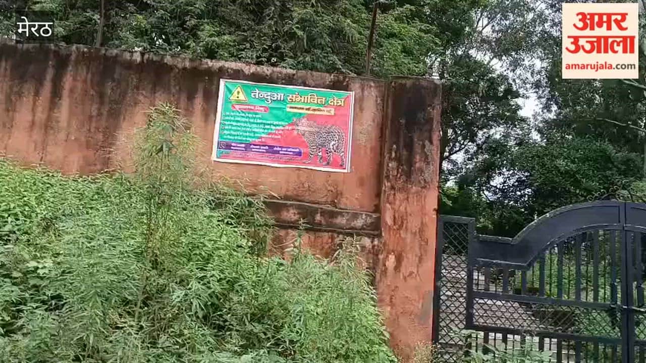 Meerut: Leopard scare along the Upper Ganga Canal; Forest Department puts up warning posters.